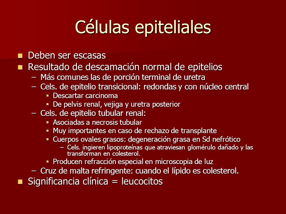 examen de orina valores normales celulas epiteliales